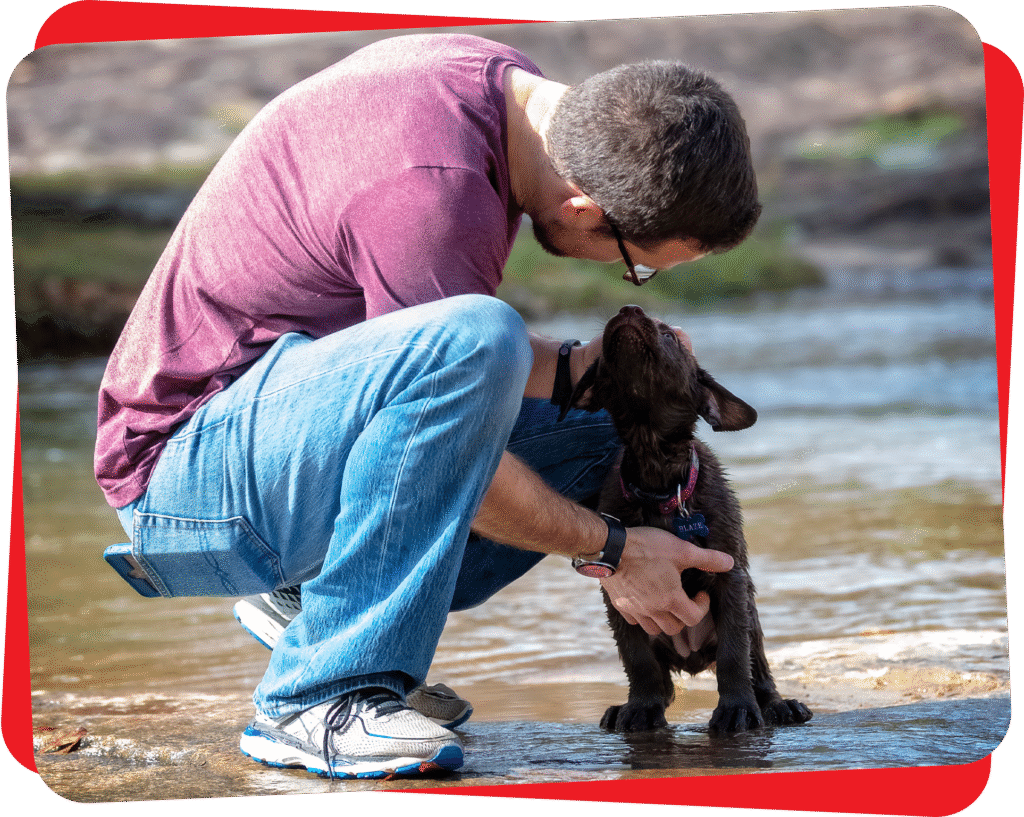 aggressive dog training atlanta
